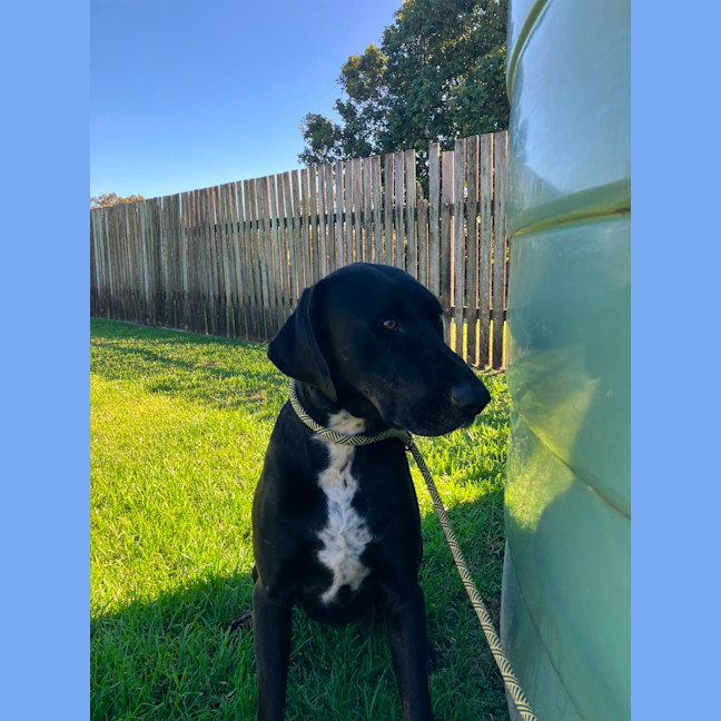 Photo of Blue