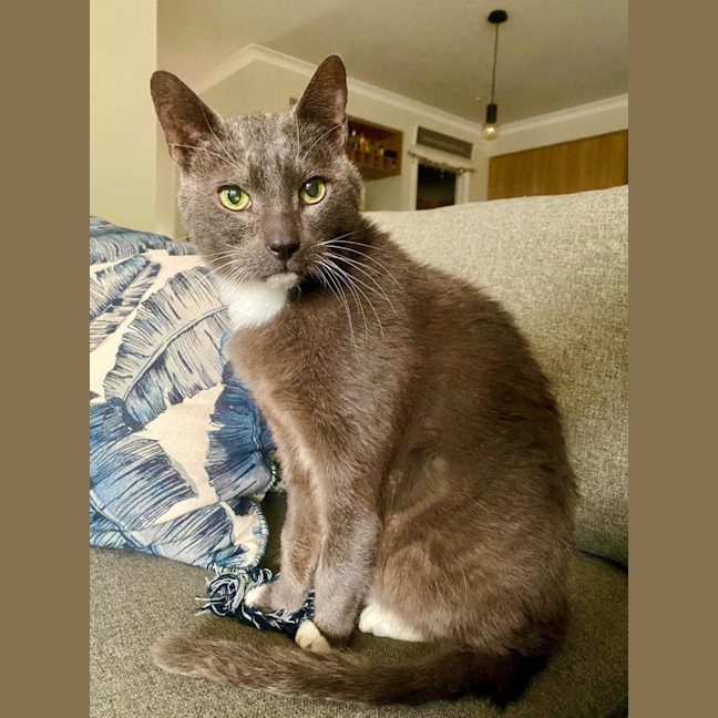 Photo of Prince Henry