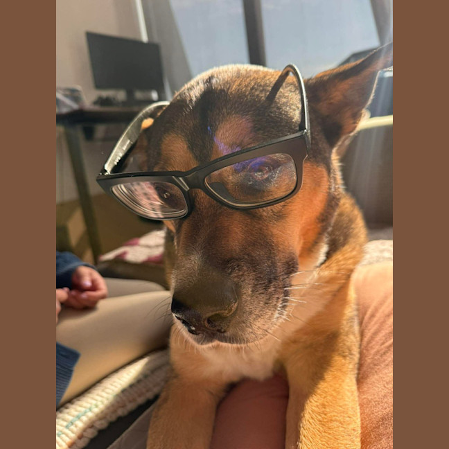 Photo of Toby