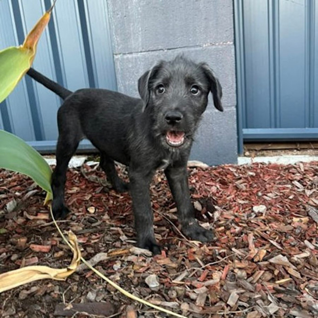 Photo of Stanley