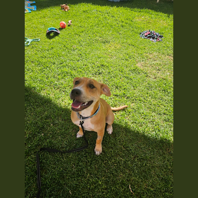 Photo of Cassie