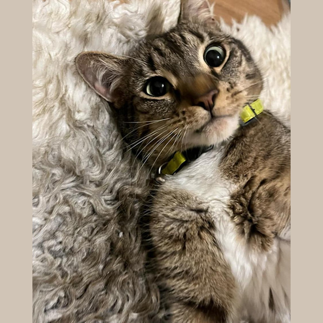 Photo of Harry Styles