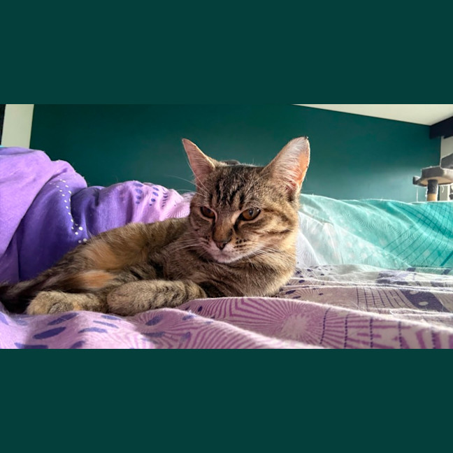 Photo of Sweetie