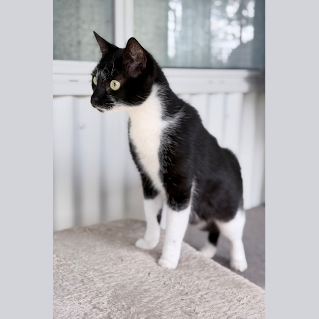 Photo of Fleur