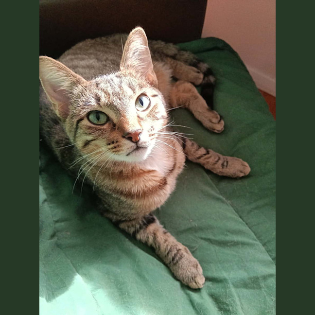 Photo of Lydia 