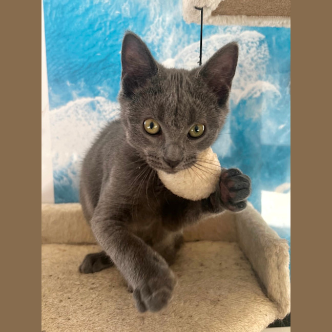 Photo of Elsie