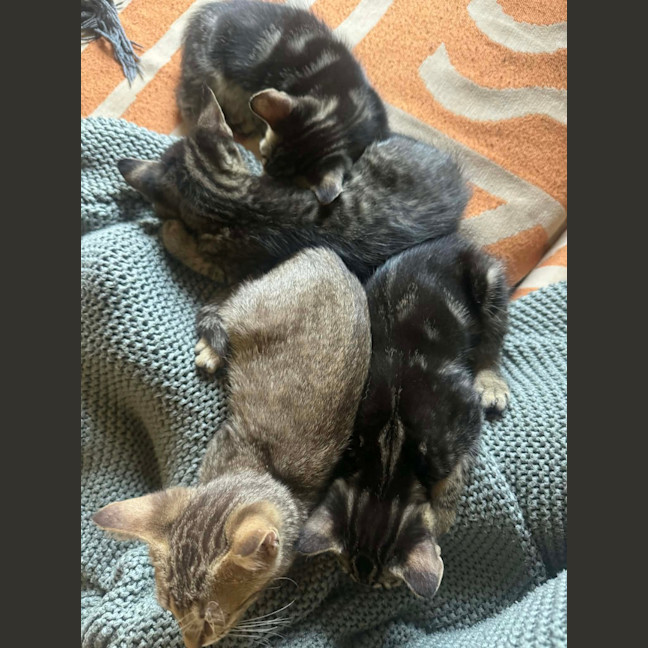 Photo of Trujillo (Trudy)