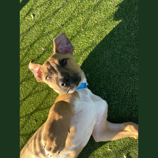 Photo of Cloud Imp 1722