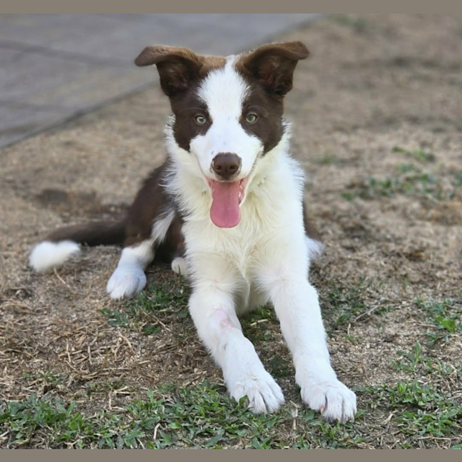 Photo of Jinx
