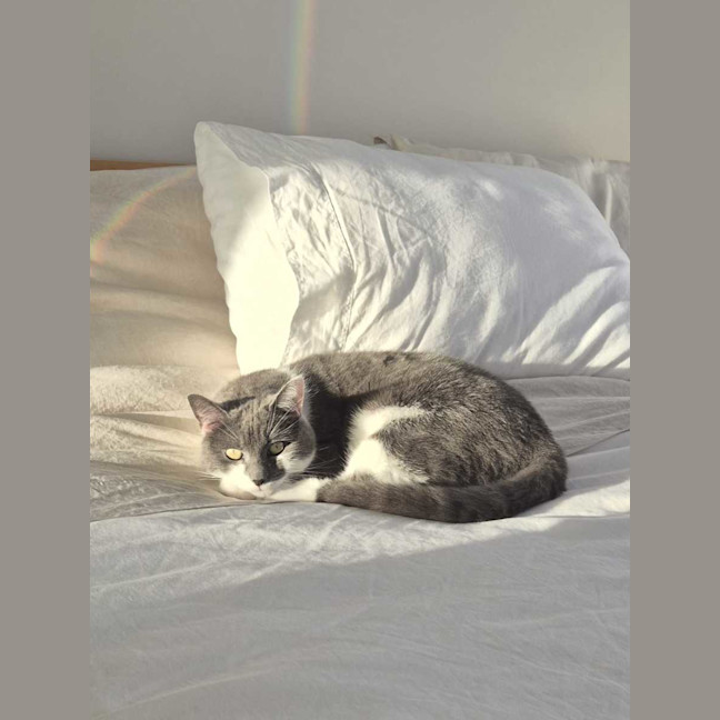 Photo of Smokey