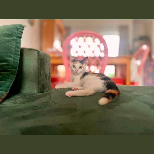 Photo of Penelope