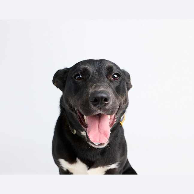 Photo of Sally