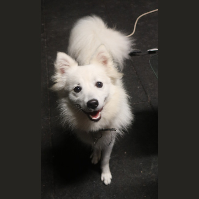 Photo of Nikita