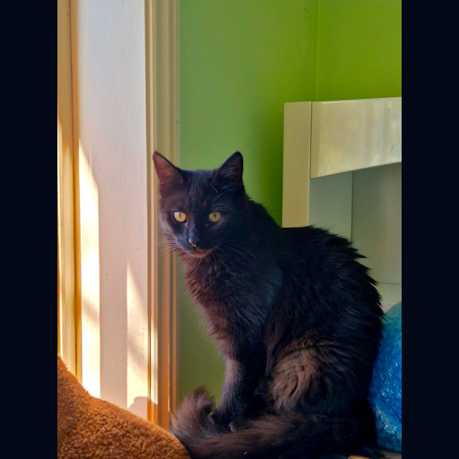 Photo of Princess 
