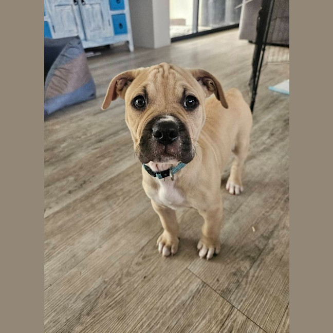 Photo of Neptune Nubs