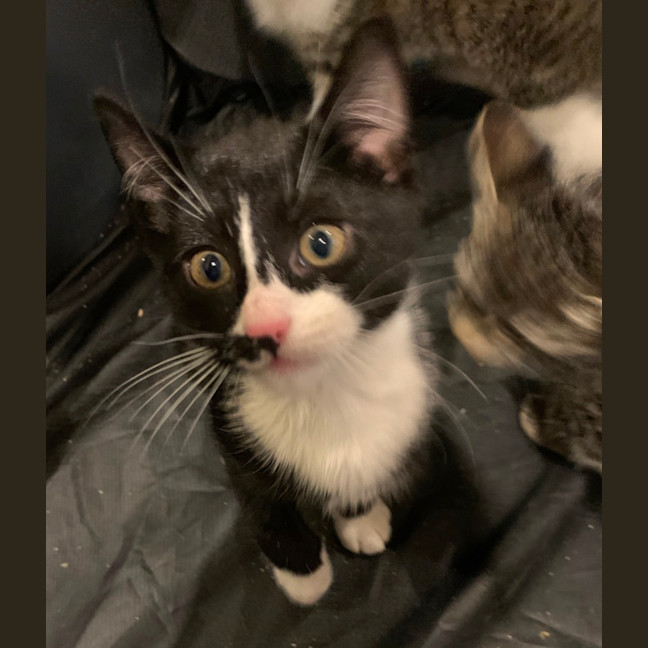 Photo of Christopher