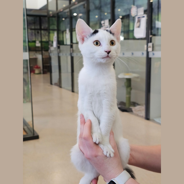 Photo of Terry Benedict