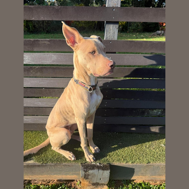 Photo of Bama