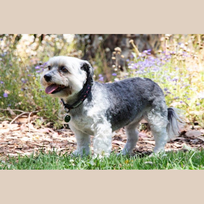 Photo of Lulu Lozano