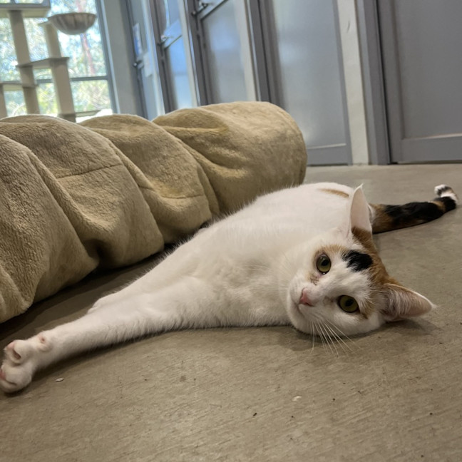 Photo of Lilly
