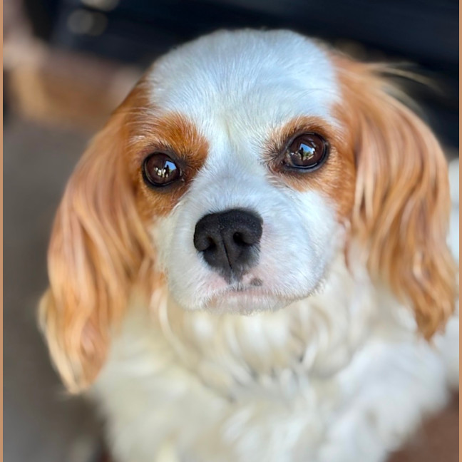 Photo of Isabelle