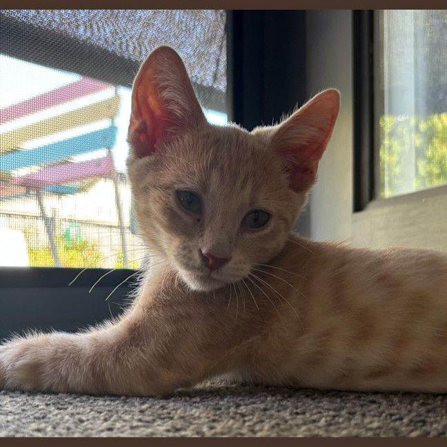 Photo of Winnie