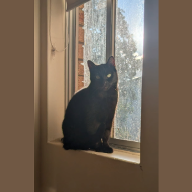 Photo of Lucy