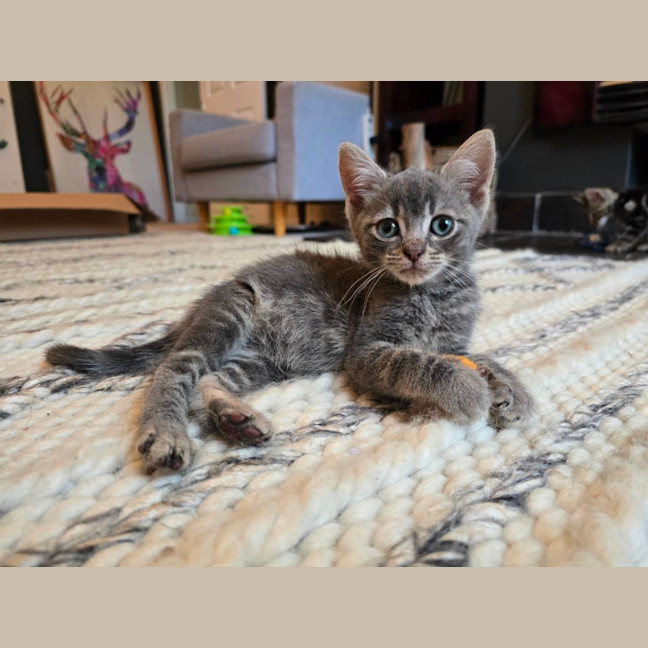 Photo of 🧡 Magnus 🧡