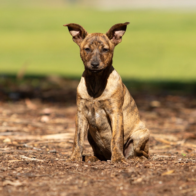 Photo of Tasha