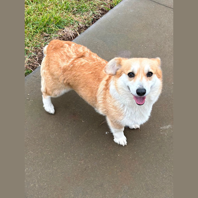 Photo of Misty 
