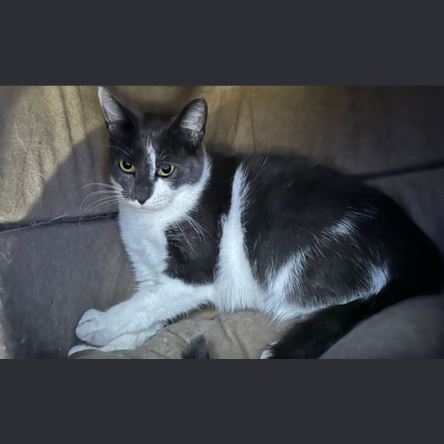 Photo of Bellara