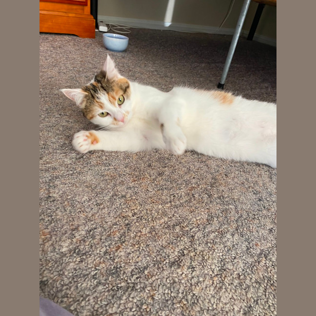 Photo of Candy