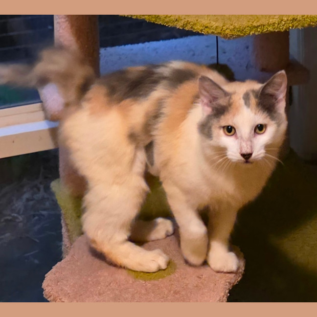 Photo of Lily
