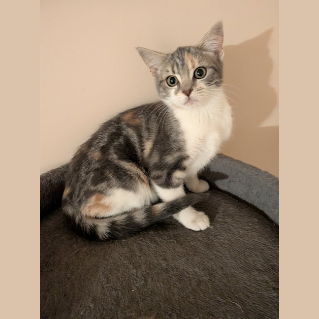 Photo of Mae