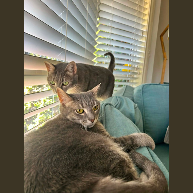 Photo of Patty & Selma