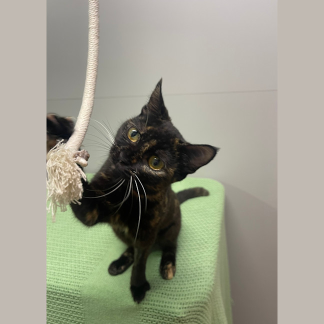 Photo of Dolly Parton