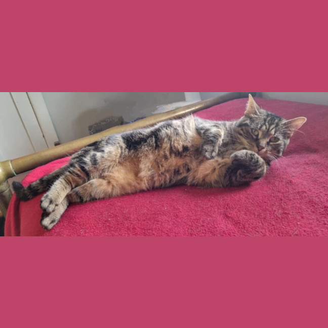 Photo of Hilary