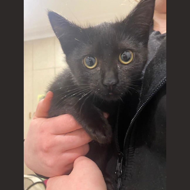 Photo of Wednesday