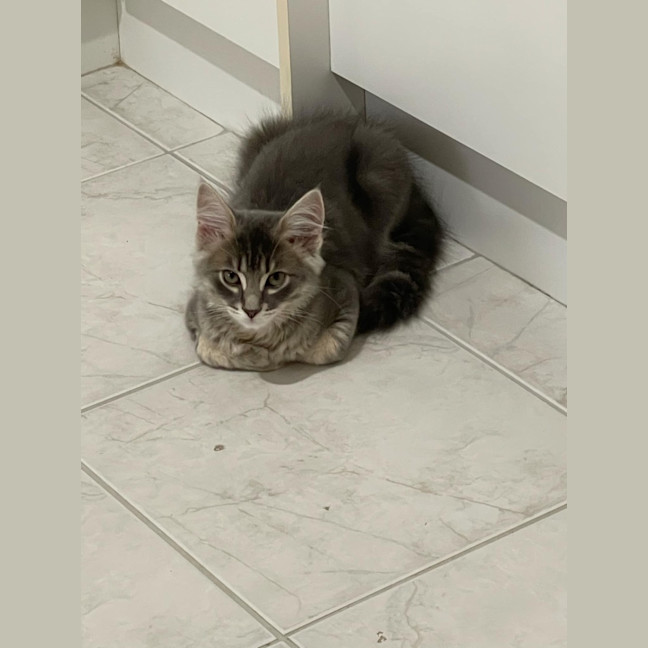 Photo of Maurice 💙