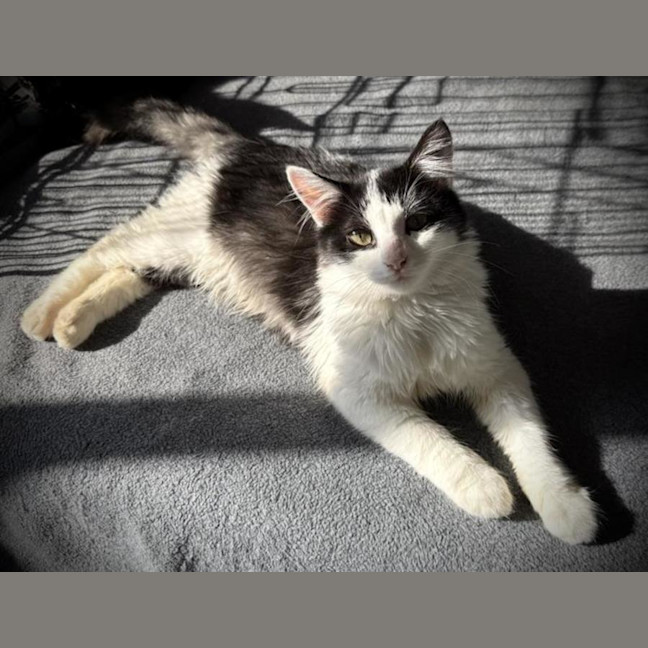 Photo of Asher