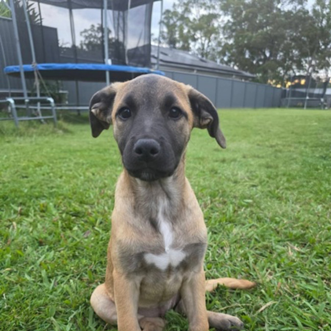 Photo of Dorothy