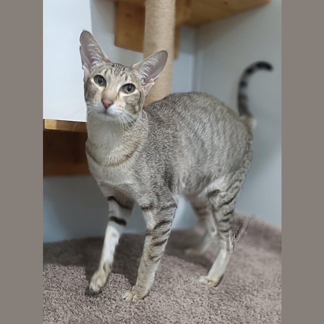 Photo of Elsie
