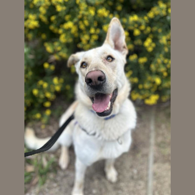 Photo of Duke