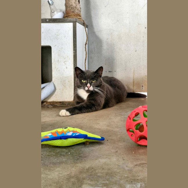 Photo of Butternut