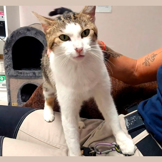 Photo of April (9172)