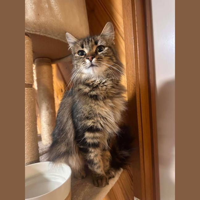 Photo of Bella