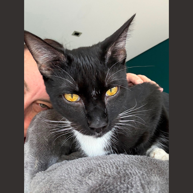 Photo of Amelie