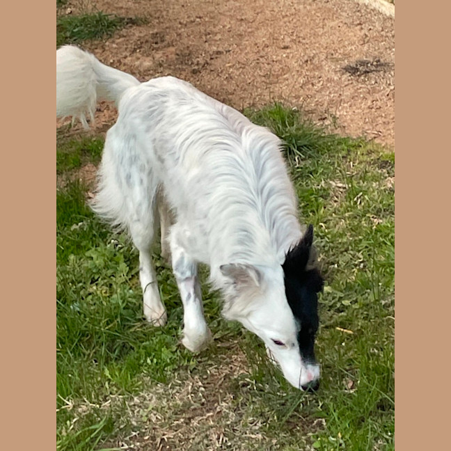 Photo of Jack