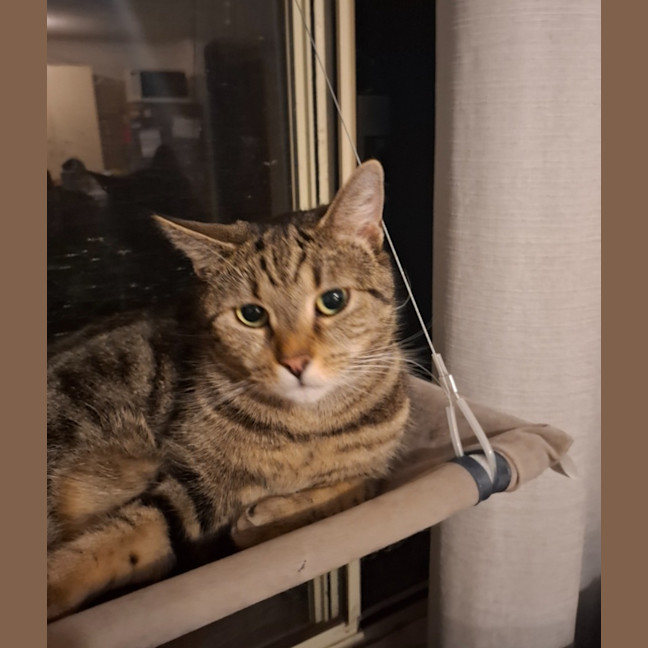 Photo of Bella
