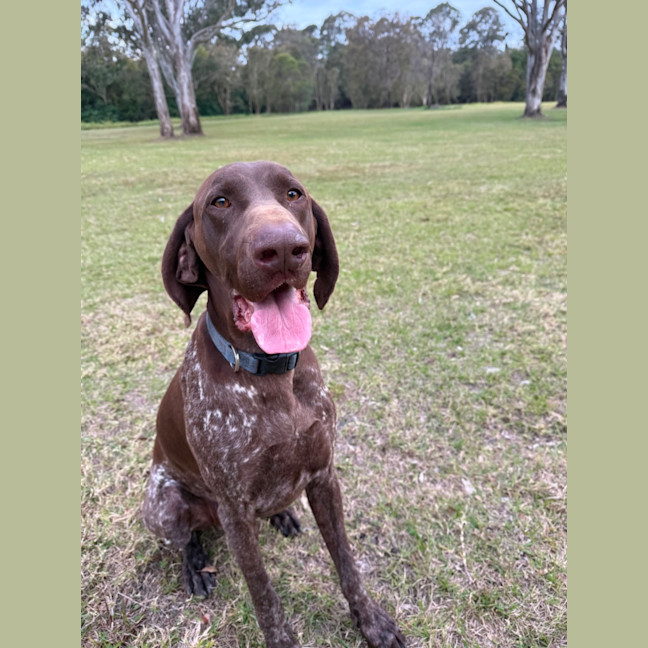 Photo of Cash